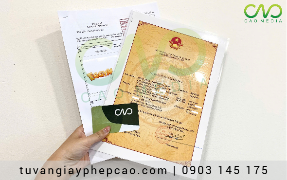 Hướng dẫn đăng ký bản quyền cho logo thương hiệu thuốc say xe