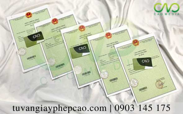 Hướng dẫn thủ tục gia hạn giấy chứng nhận đăng ký nhãn hiệu