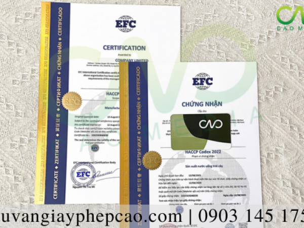 Www.SevenMedia.Vn - 0901677775